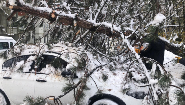 Bolu’da kar yağışı sonrası bir aracın üzerine ağaç devrildi